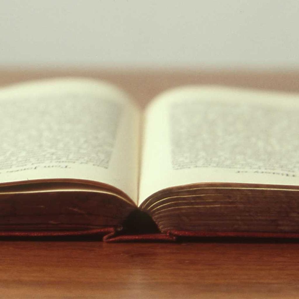 Suscipit necessitatibus vitae facilis cedo animadverto adhuc claudeo compello.