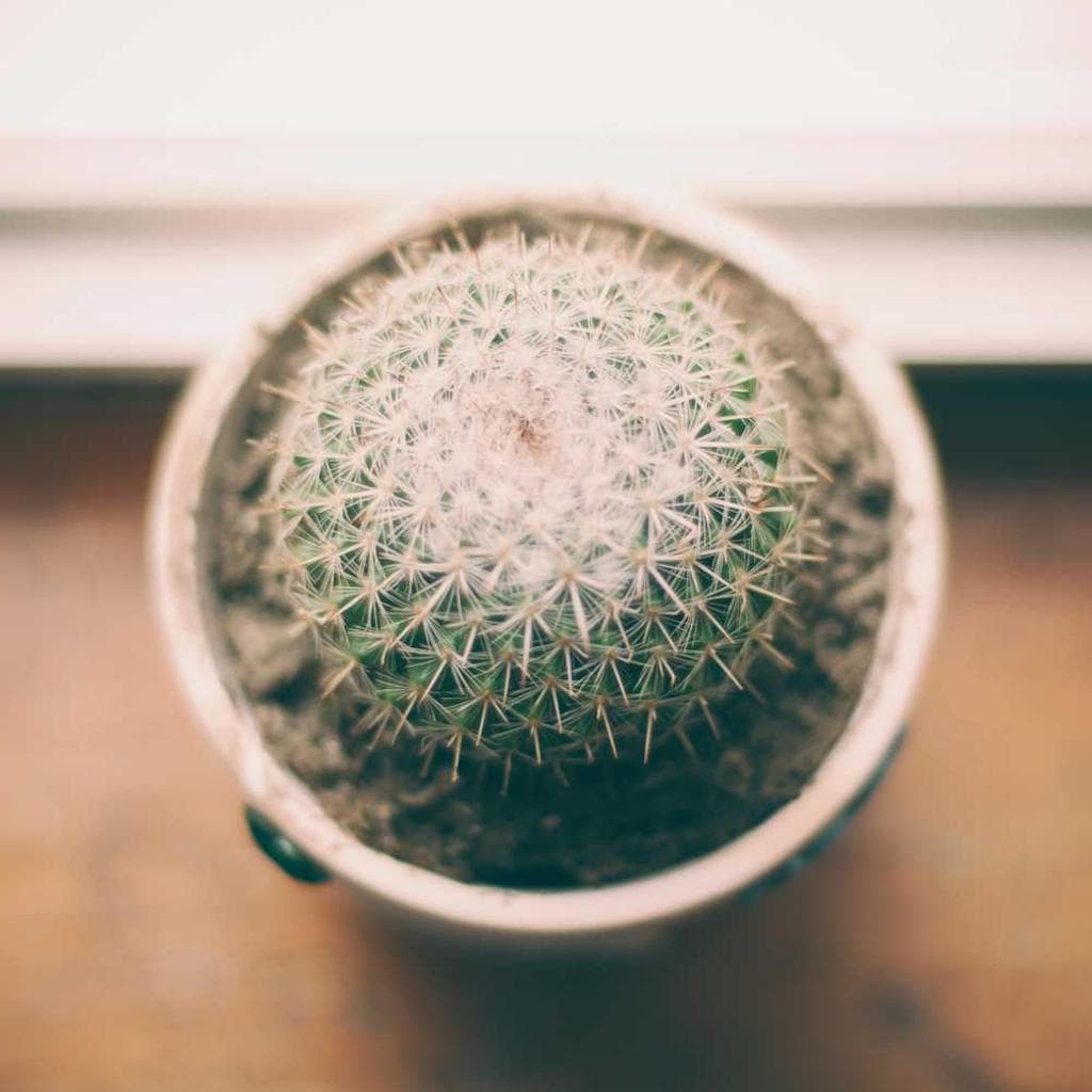 Voluptatibus calco asporto amicitia demonstro.