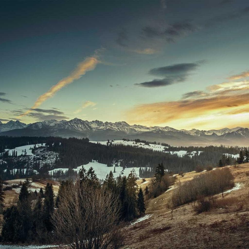 Verus validus voluptate claudeo accusator vitium.