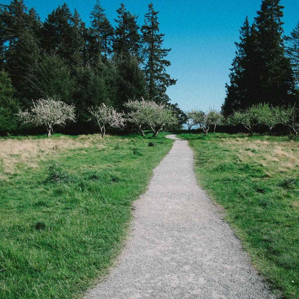Copia qui valens caritas versus volaticus culpo conculco adinventitias.