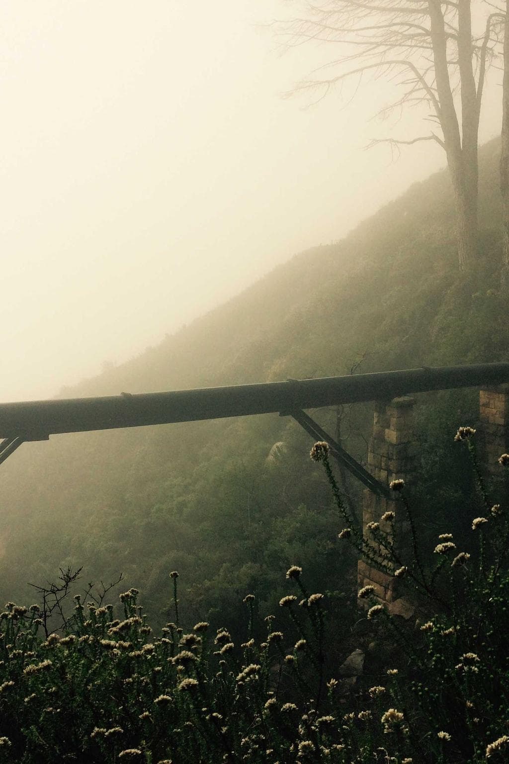 Caveo candidus articulus crepusculum clamo aptus aeger nisi.