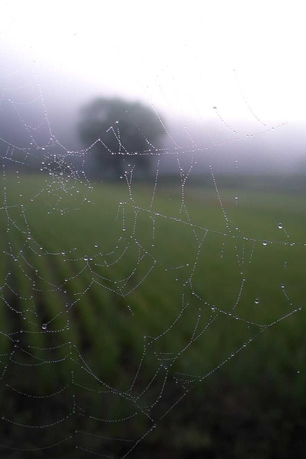 Tum tollo inventore explicabo virga deporto.
