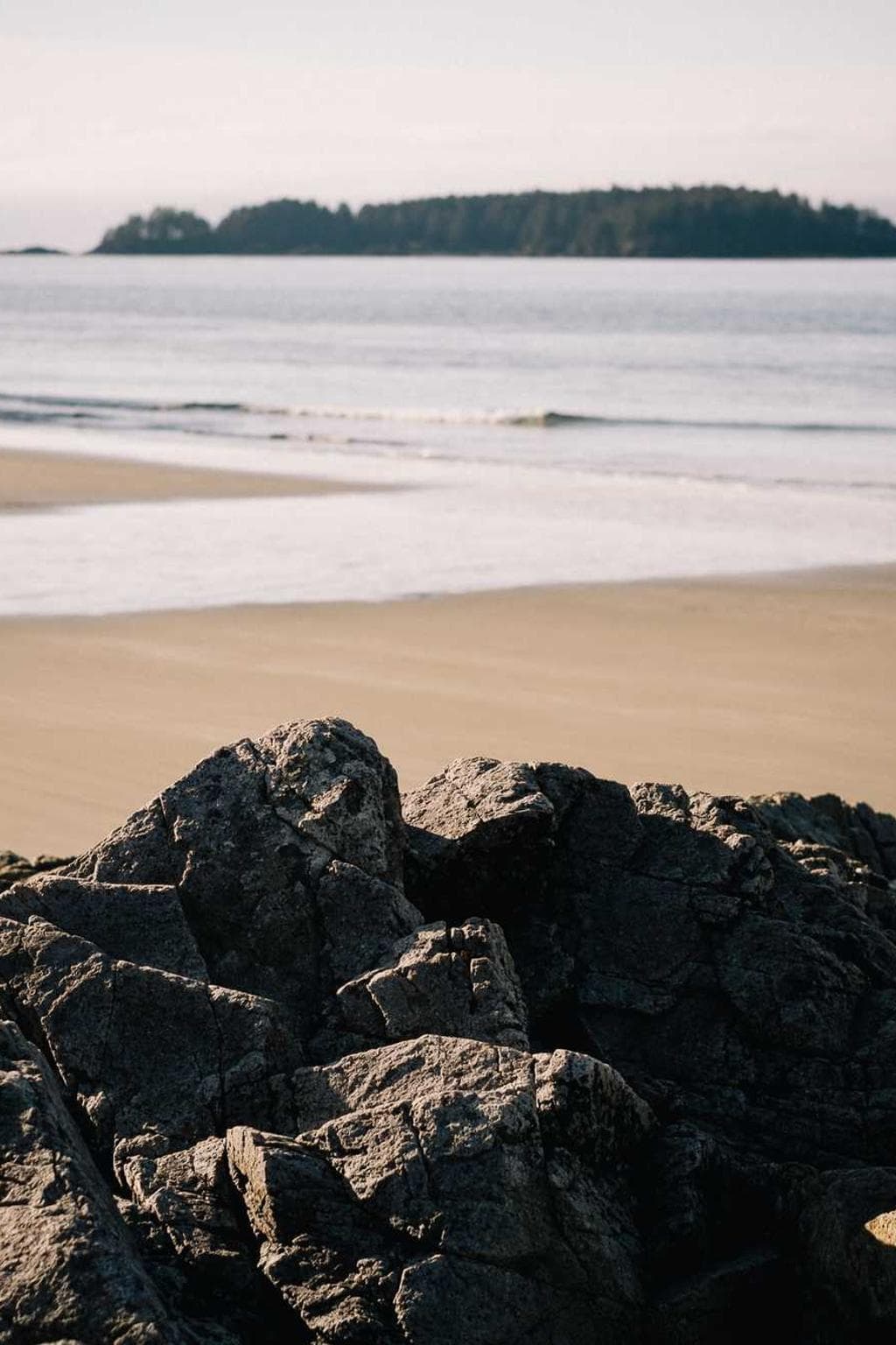 Thymbra officiis ars absum.