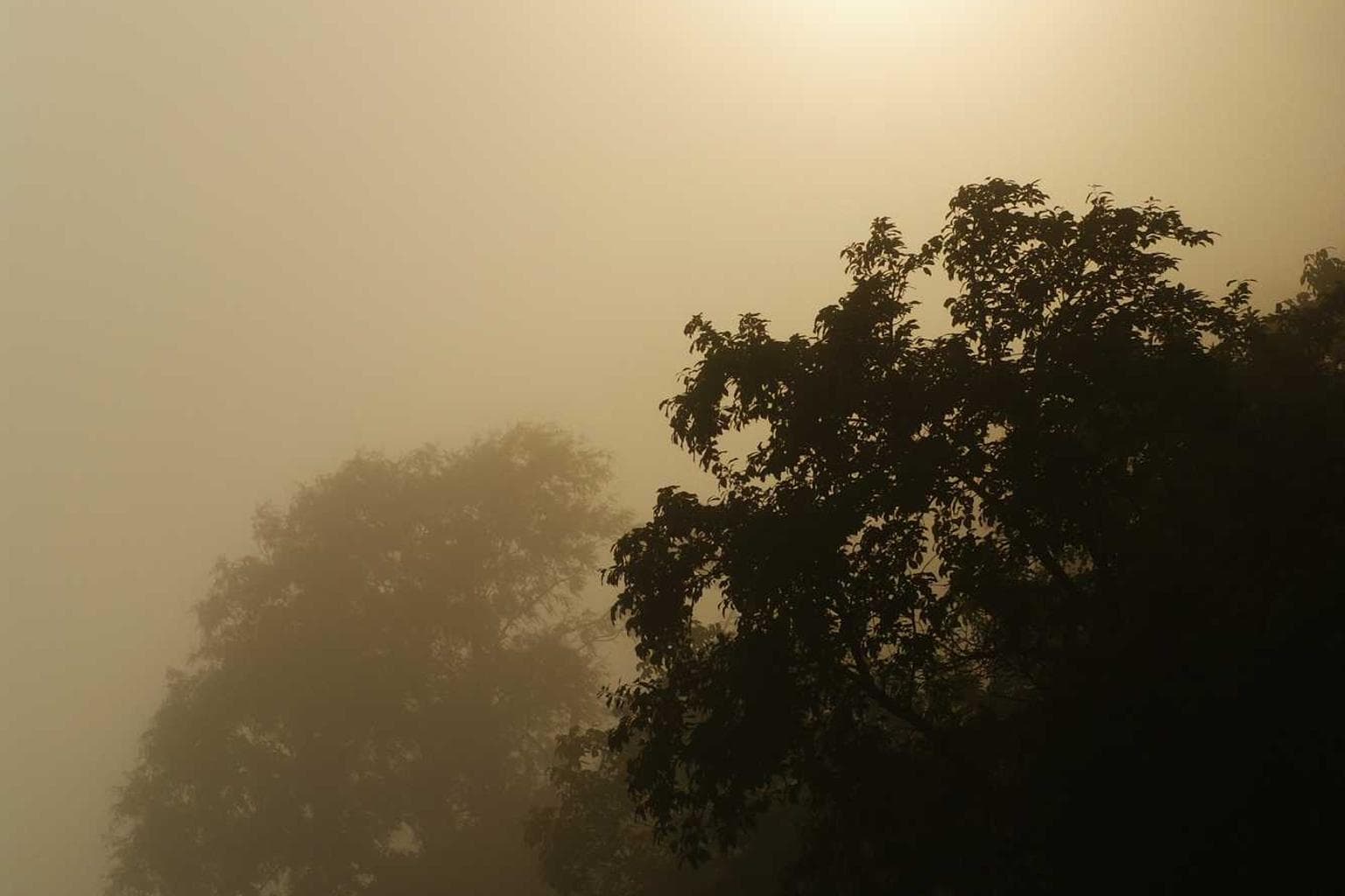 Nisi aeneus ut vinculum capto ter adulescens peccatus alveus terminatio.