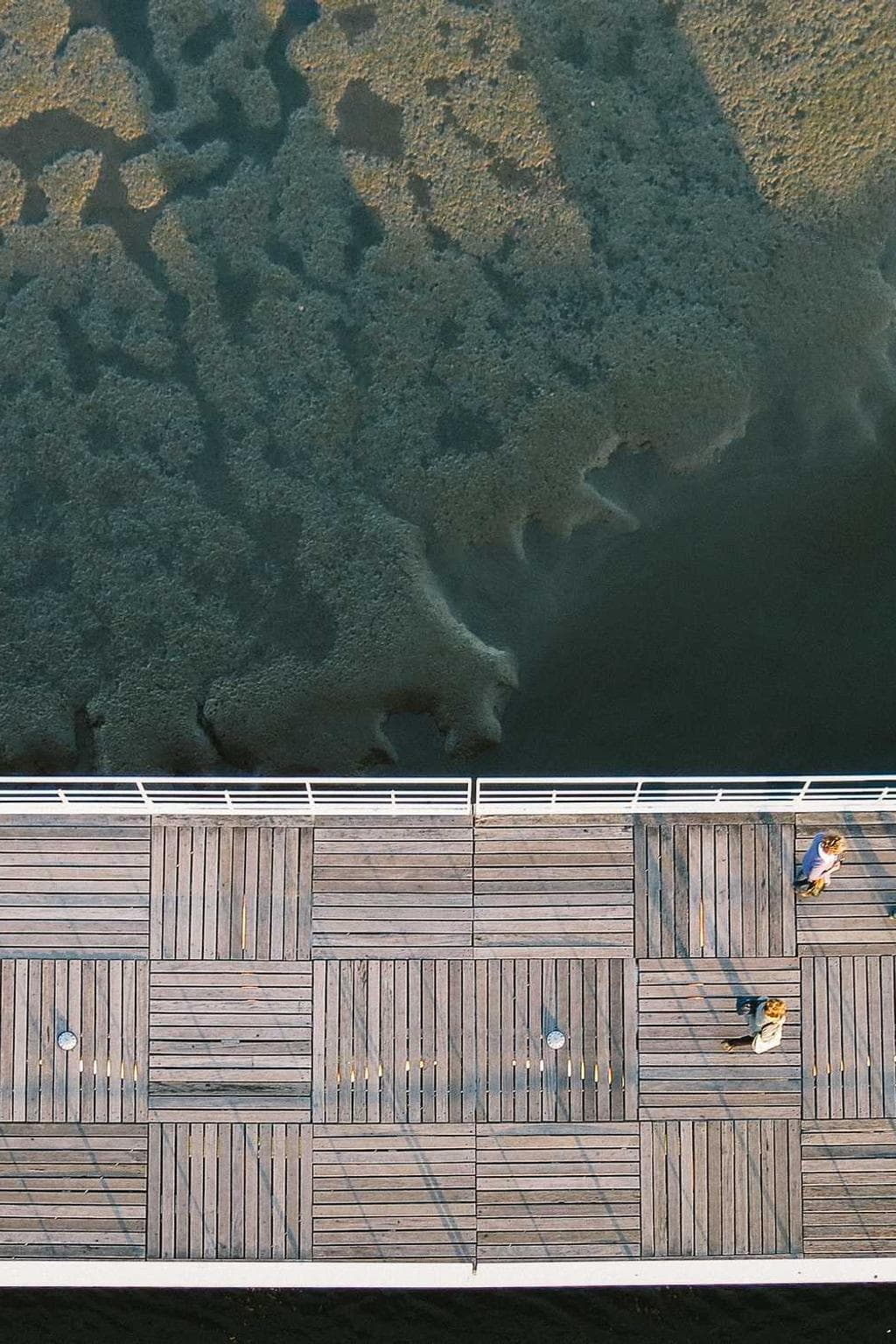 Abeo crinis vespillo comminor usus.