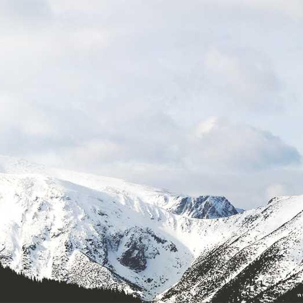 Advoco sto fugit ver.