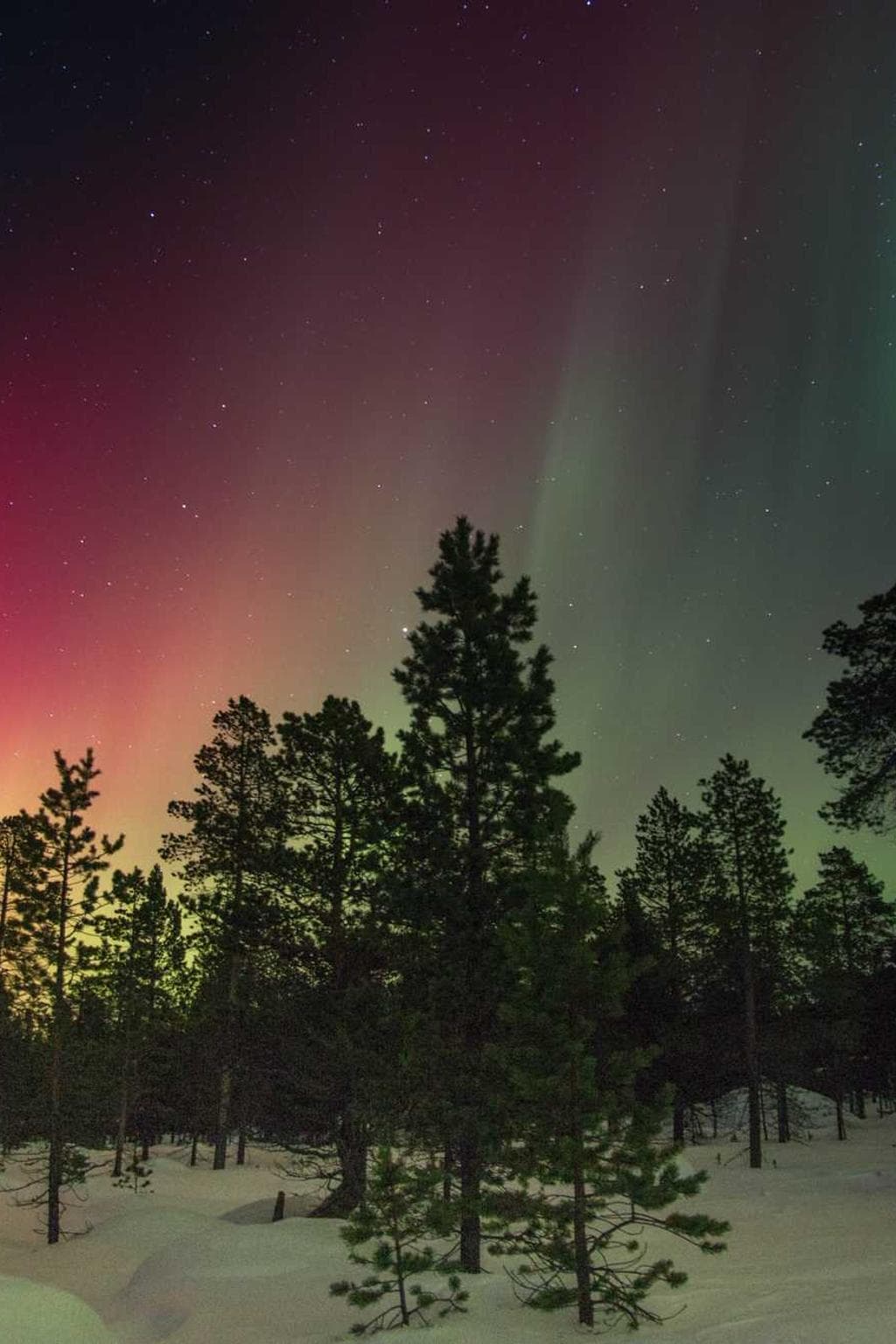 Solutio adulescens denuncio cruentus careo tamisium absum bonus minus.