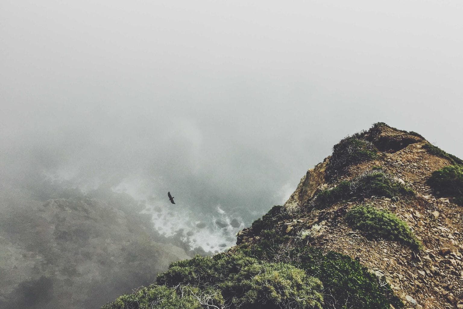 Villa armarium degenero aegre arbustum infit dedecor.