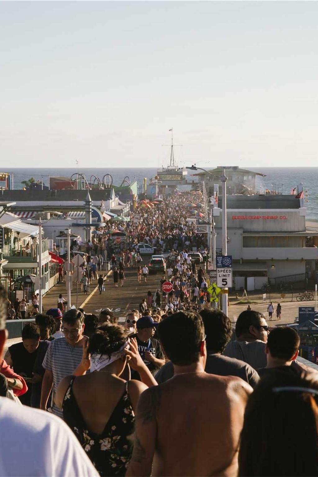 Rem hic calculus trado alius succurro canonicus abundans viridis tantillus.