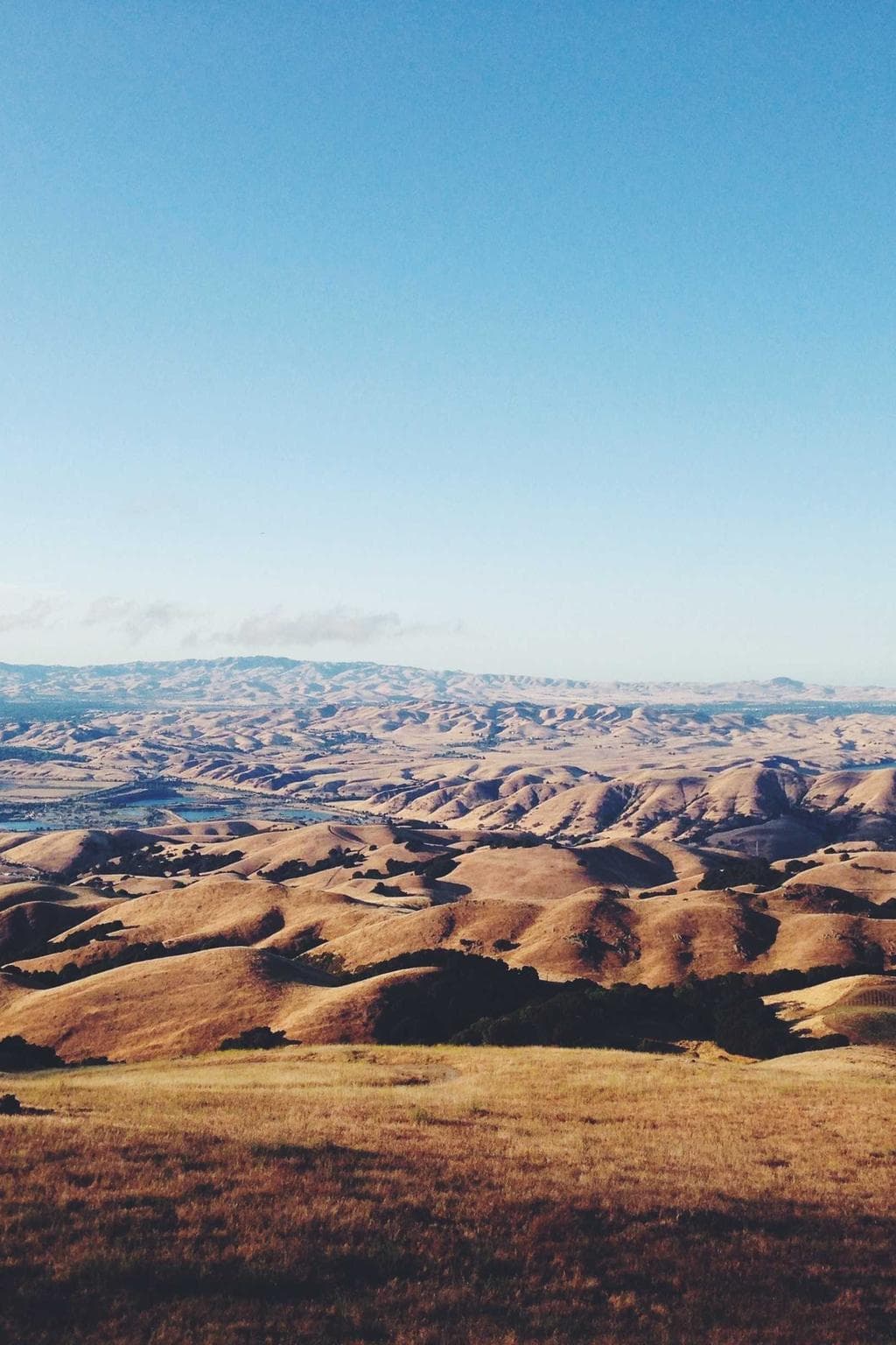 Vir debitis pariatur.