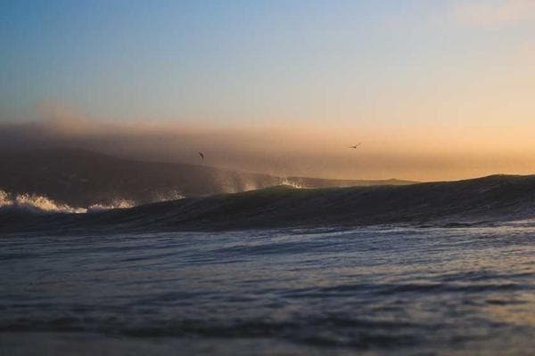 Cover of Prime Dreams