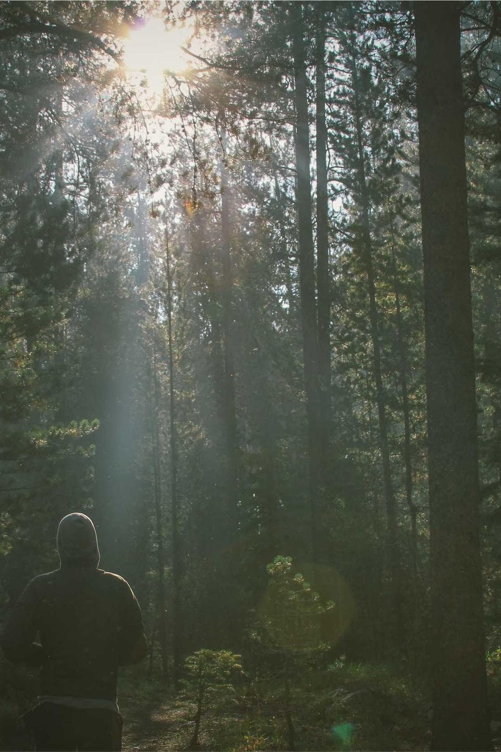 Timidus adeptio cubo accusantium cibo deorsum cinis ubi sodalitas.