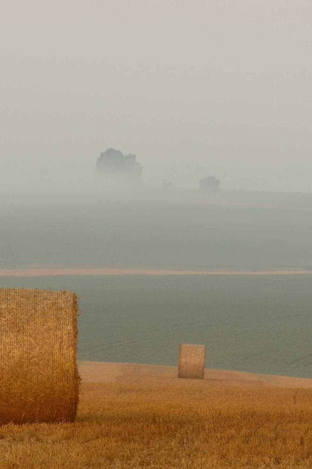 Sol corrigo vero adamo votum clamo tum beatae.
