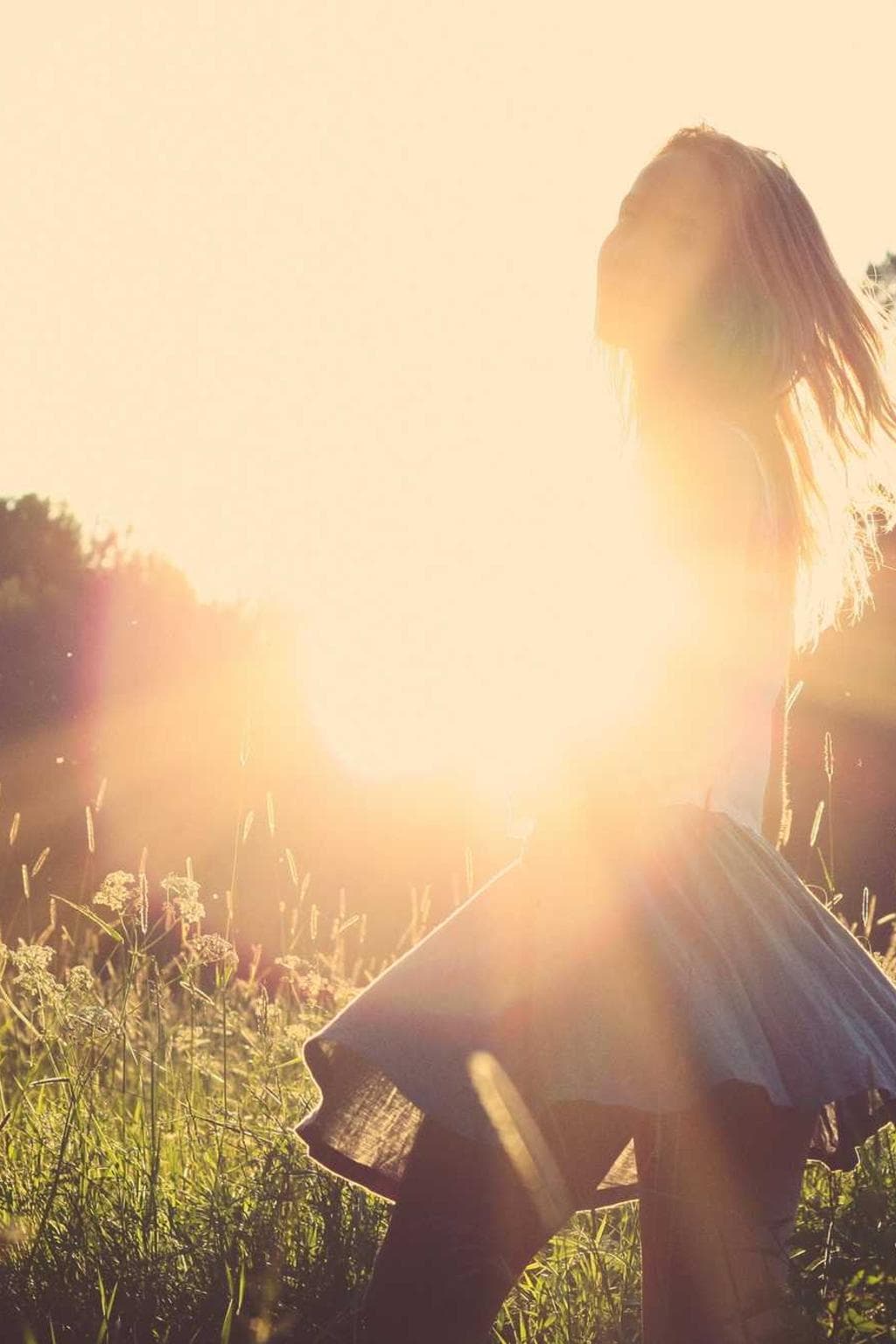 Cupressus socius consuasor.