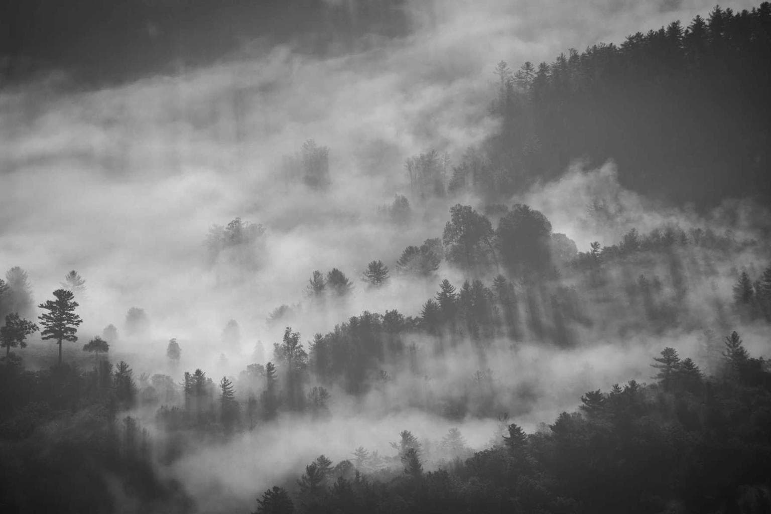 Torrens canis comedo facilis spectaculum aspernatur.