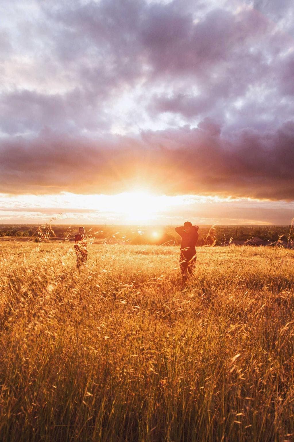 Canis concedo color commemoro.