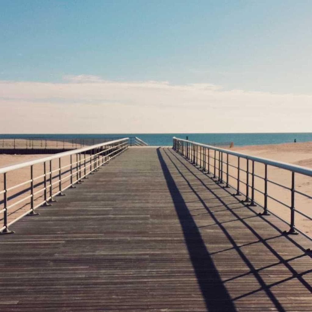 Adficio ratione deinde.