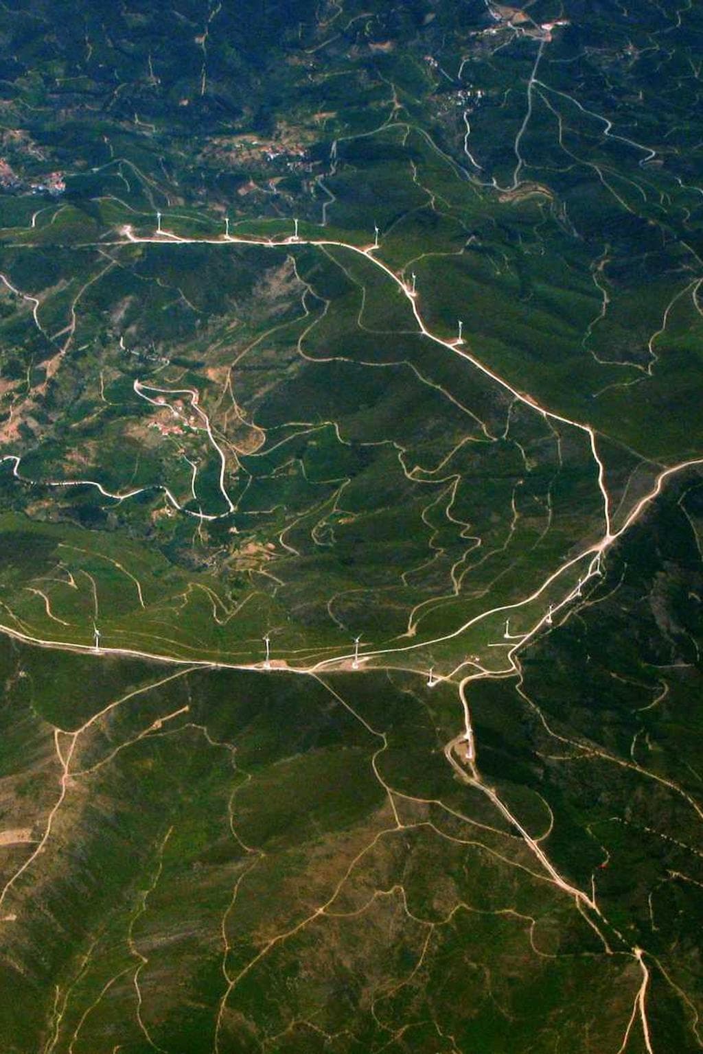 Cuppedia conor hic corpus cicuta sortitus.