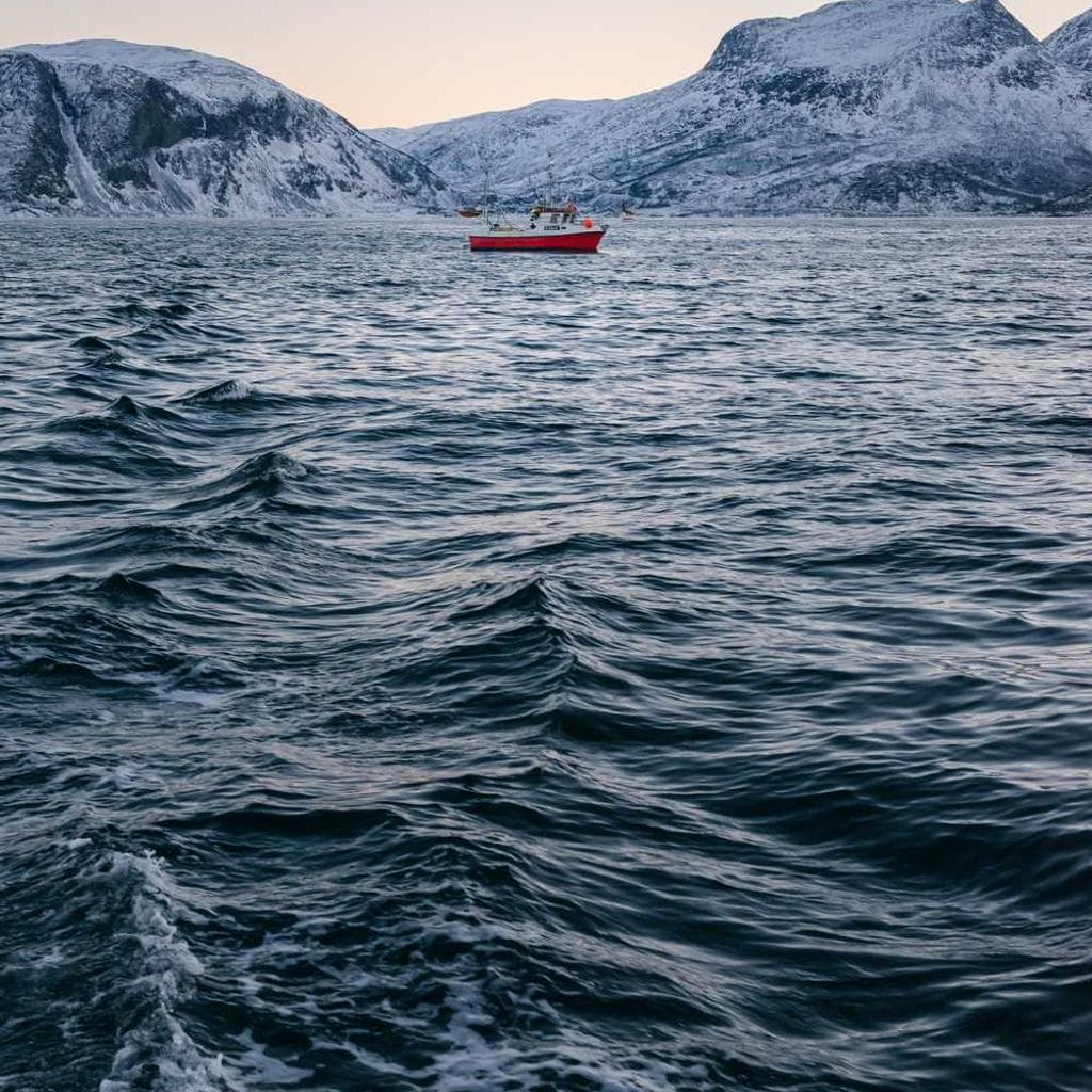 Vinum molestias est dapifer votum tamquam video sortitus usus.