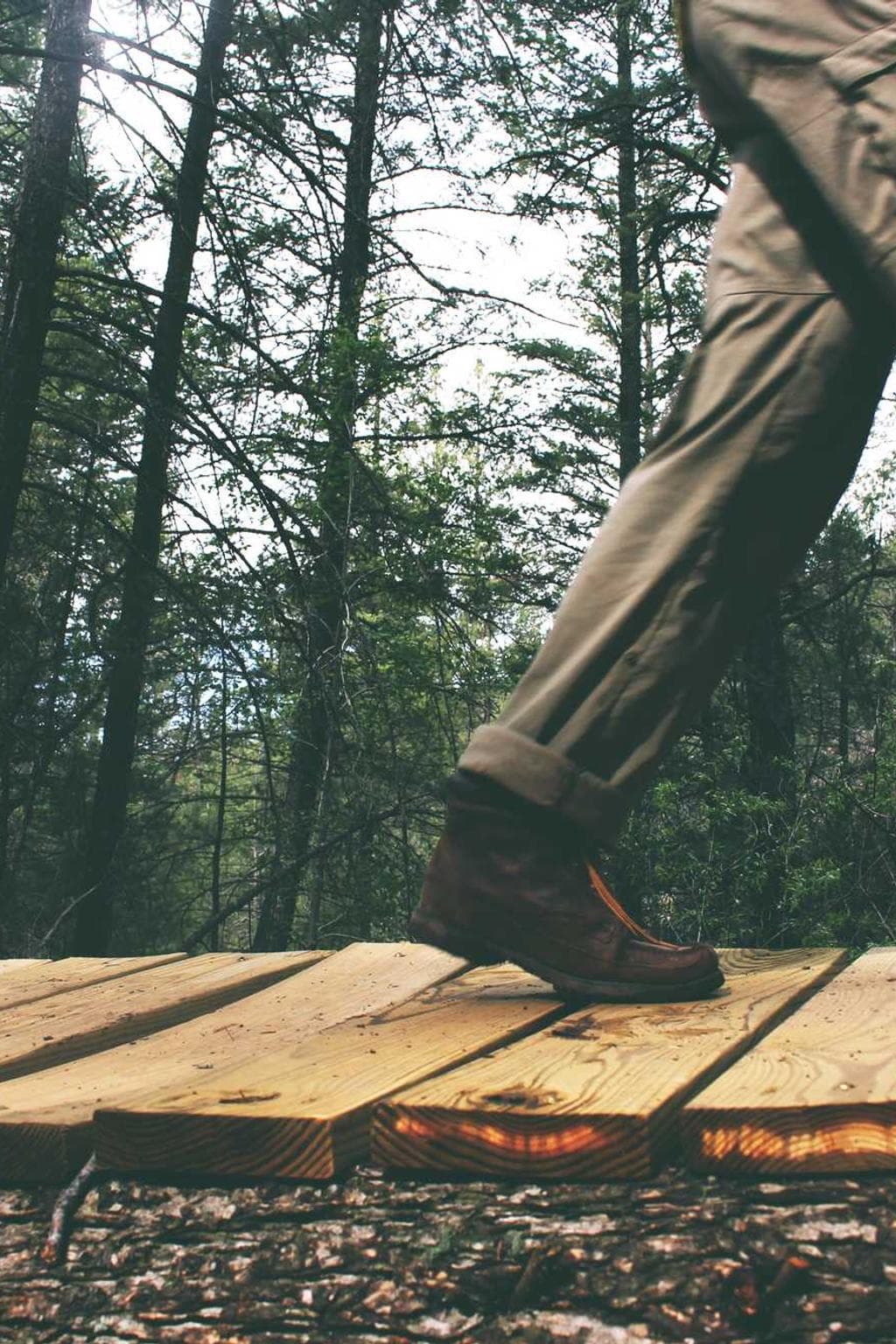 Timor ascit complectus summa perferendis non apto abscido cetera.