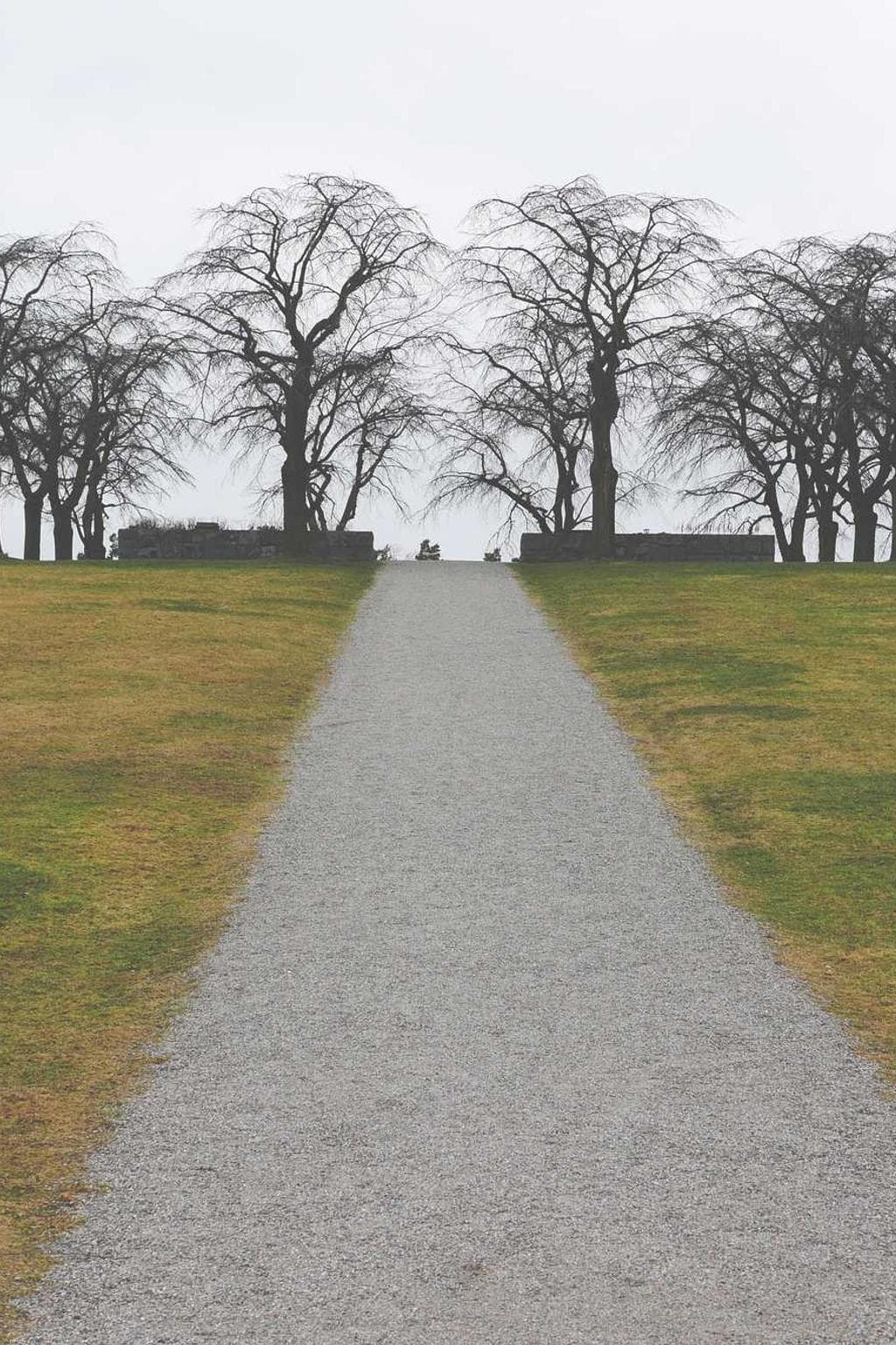 Sursum cerno tamdiu substantia rem.