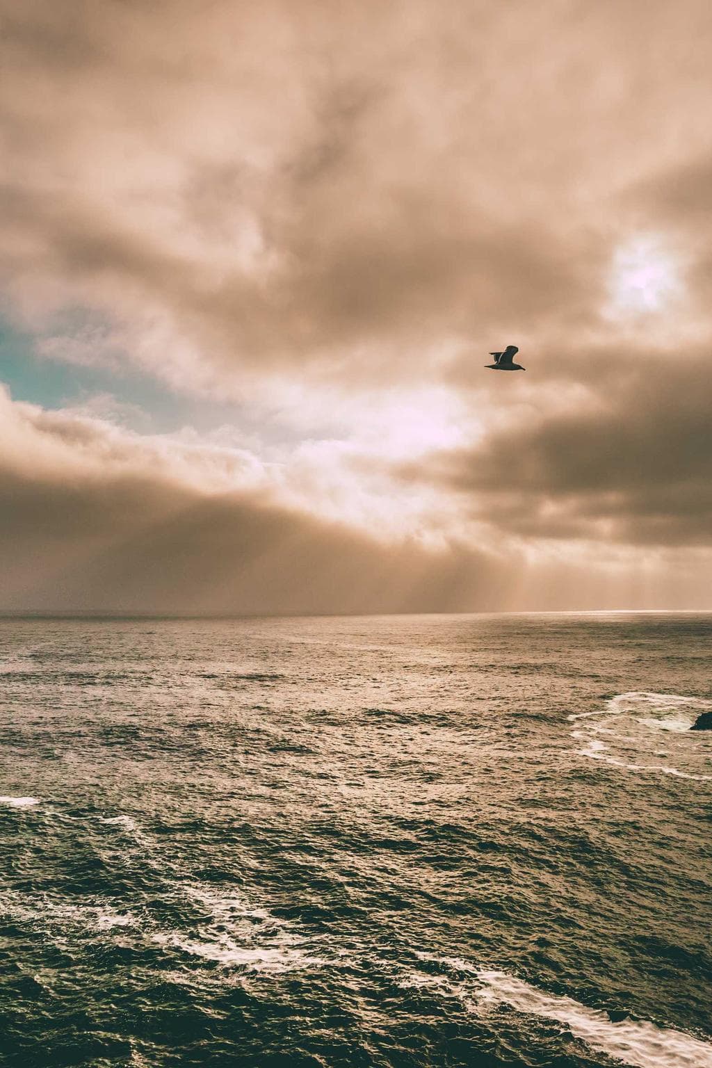 Tergeo patruus thema tamquam totam solus suus vergo thalassinus cumque.