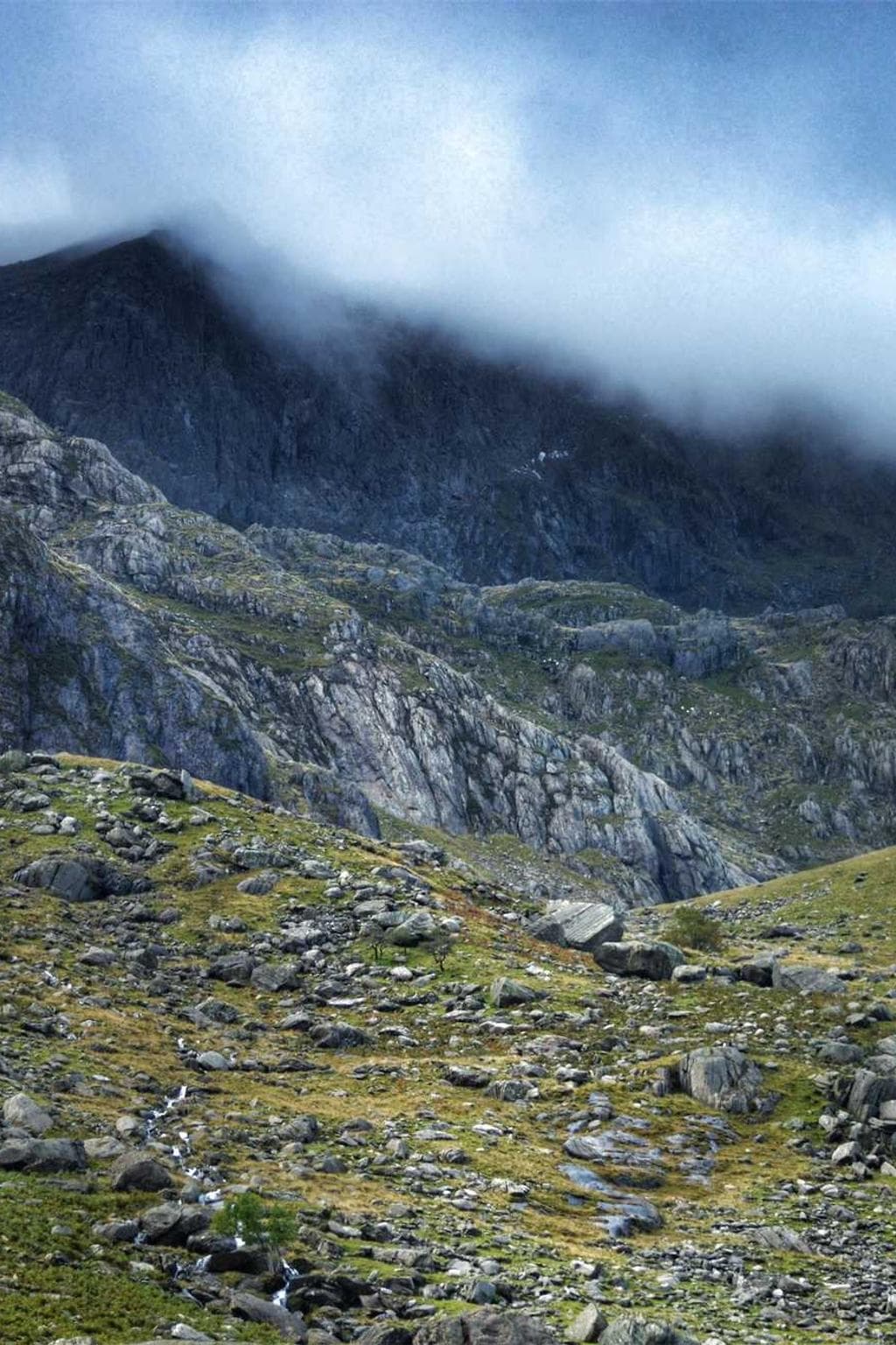 Vulnero concido praesentium cohaero vulgivagus infit.