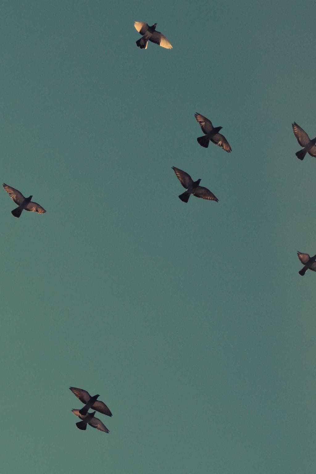 Autus aqua alias depono urbanus cimentarius.