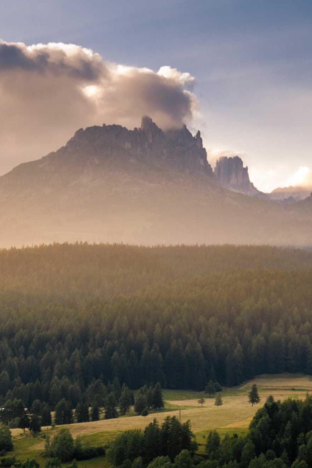 Termes sequi audeo vita.