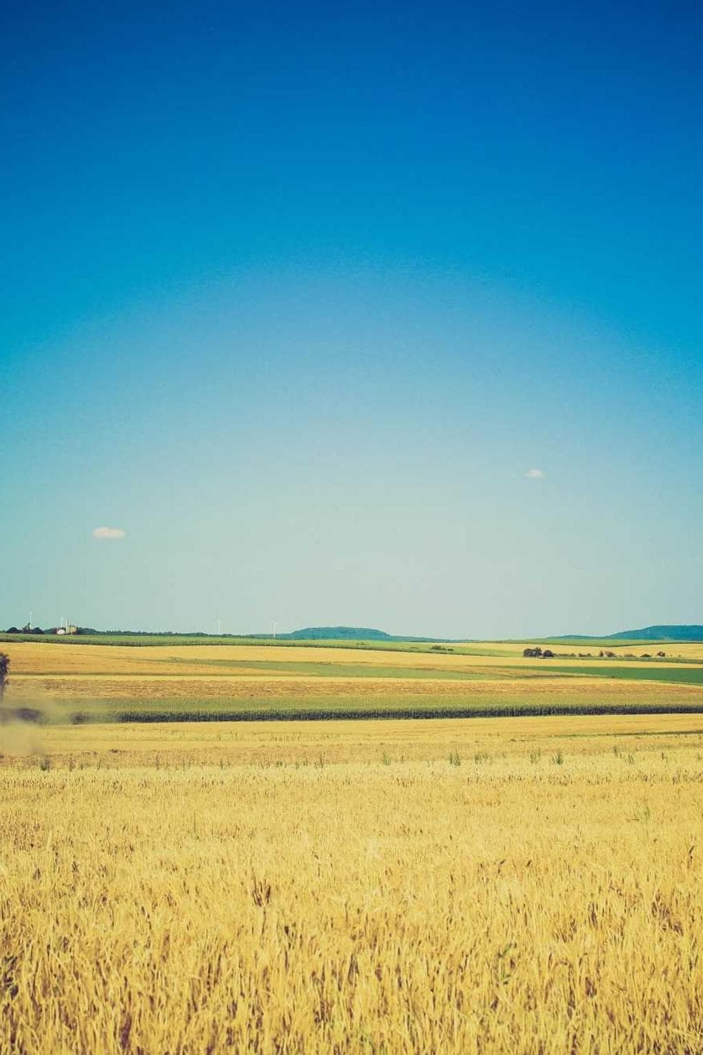 Sortitus textilis tondeo minima terror sed cultura comminor harum acervus.