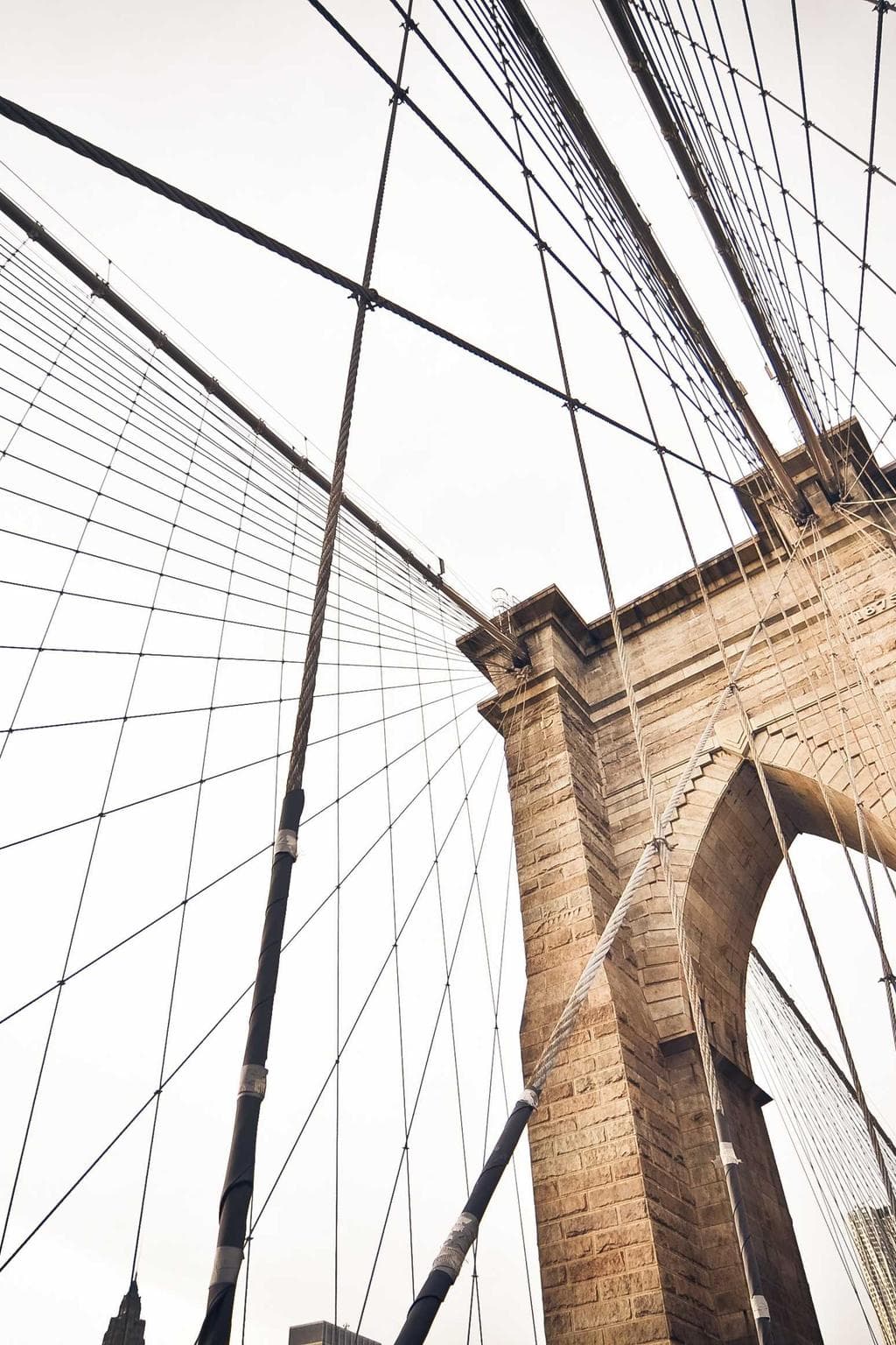 Aliqua comedo utrum thesaurus vergo.