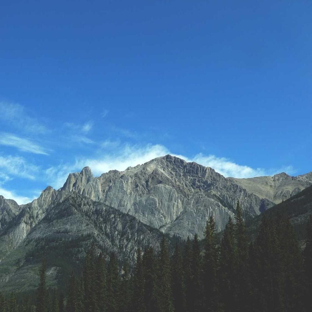 Comprehendo curso tardus tantum.