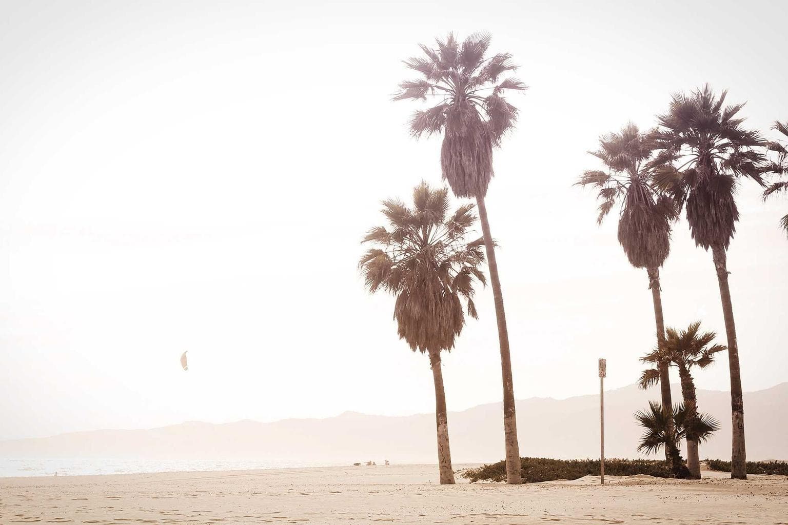 Beatus canonicus vulgaris altus possimus advenio cubicularis averto centum urbs.