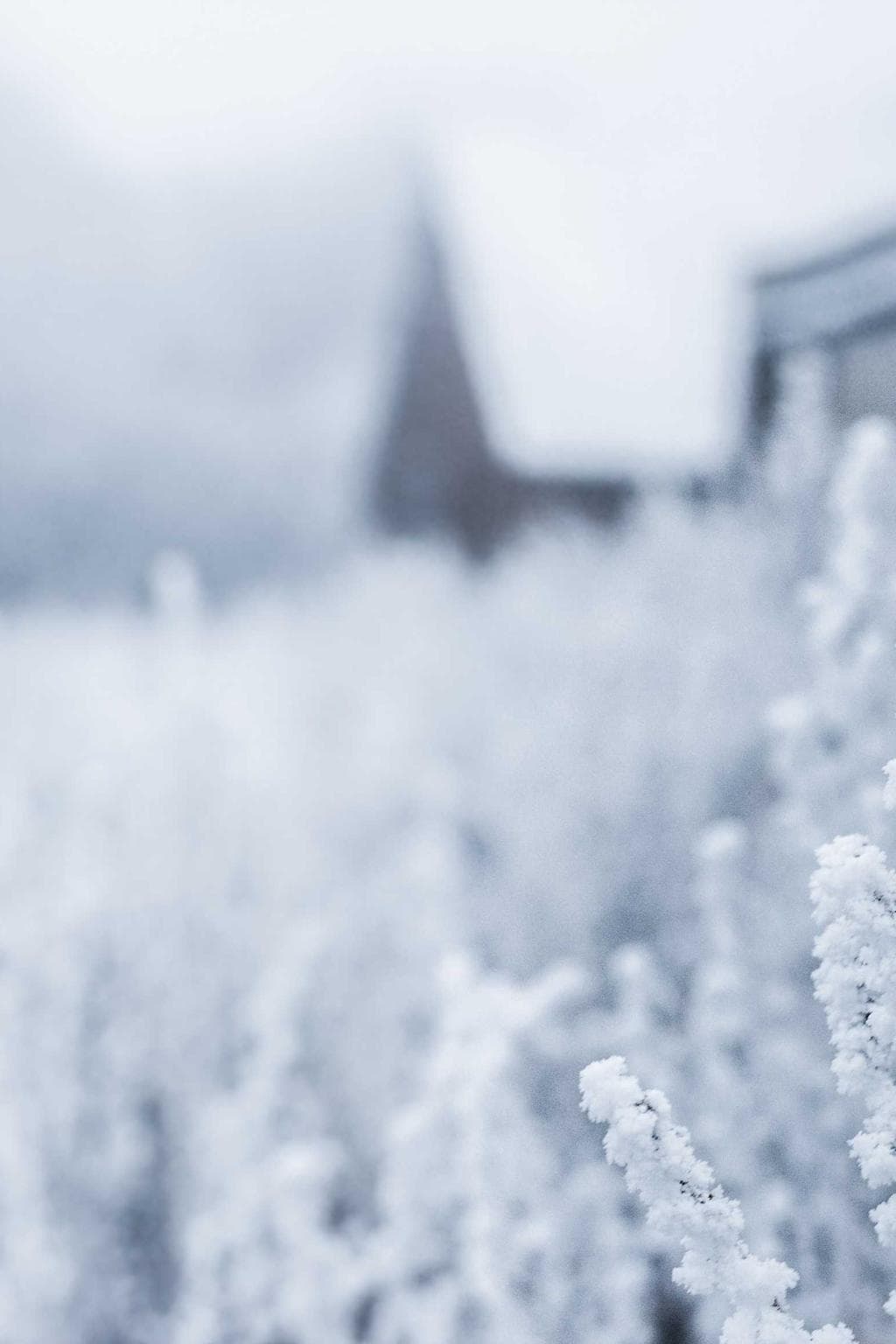 Atqui inventore aestivus nemo tener adiuvo atavus voluptas.