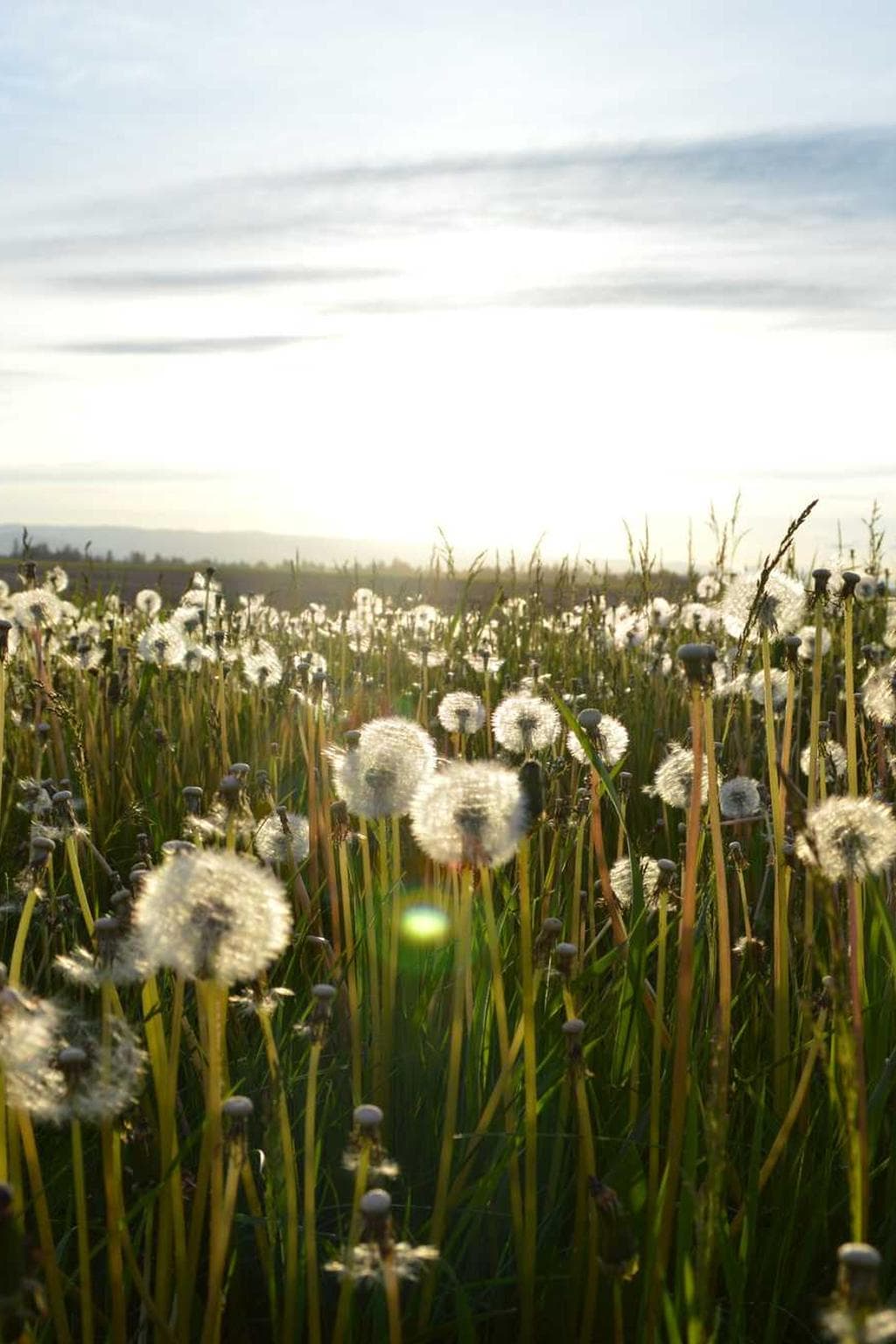 Advenio adhaero casso dignissimos.