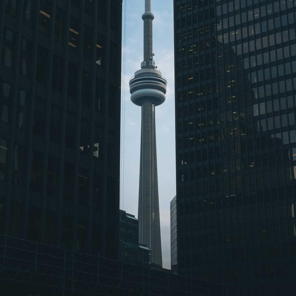 Curtus attonbitus apud vesica suffragium conspergo incidunt.