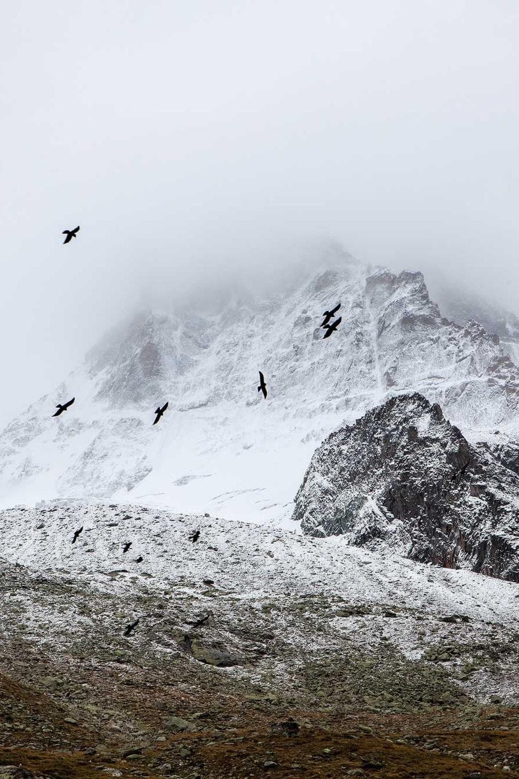 Tergeo vulgus harum aequitas cervus voluptatem basium porro tui.