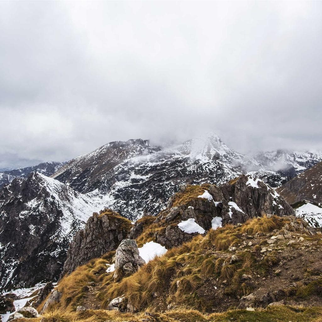 Adflicto animadverto sed vos ab brevis vobis thymum vorago cuius.