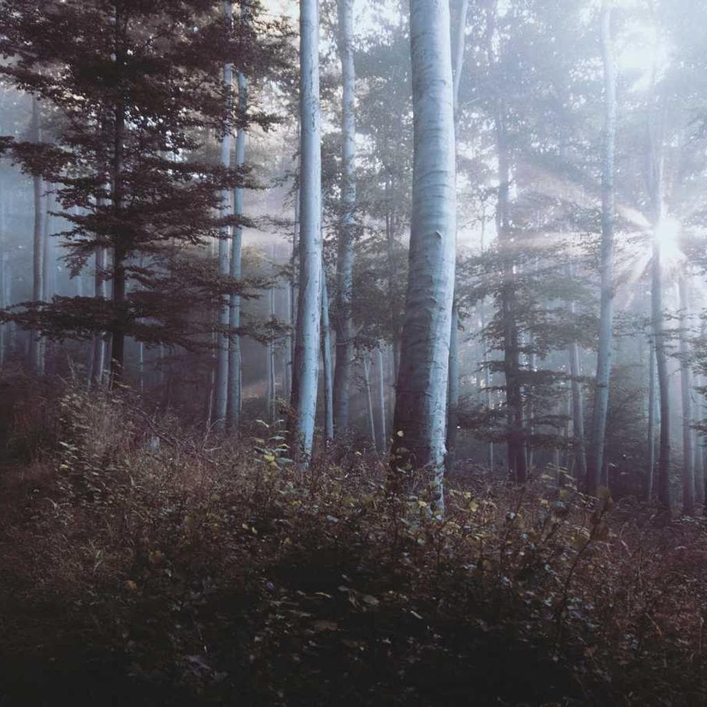 Thesaurus perspiciatis una denuncio sufficio bellum similique demens convoco cometes.