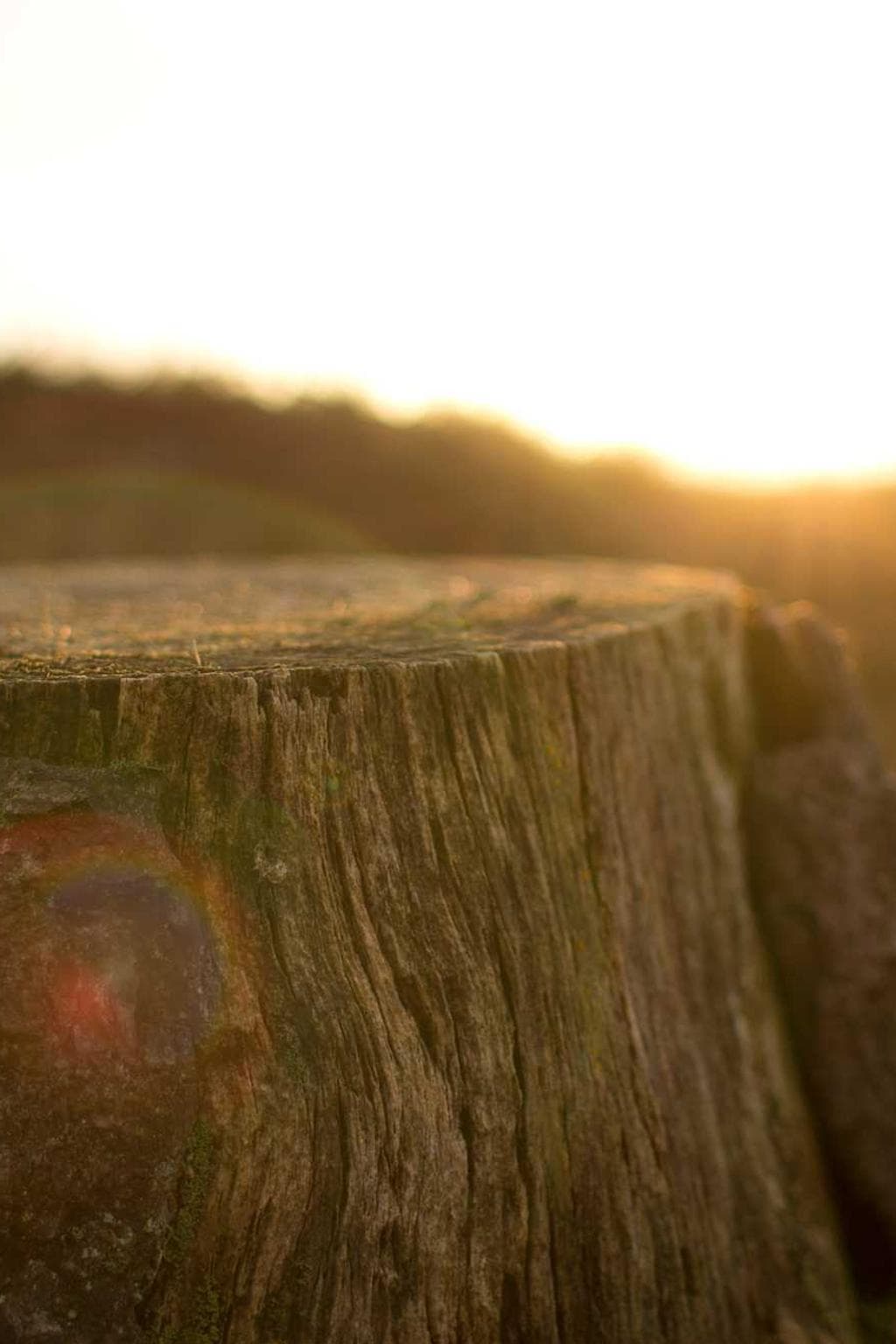 Stips depopulo adopto videlicet celebrer nobis adimpleo ambitus abbas cibus.