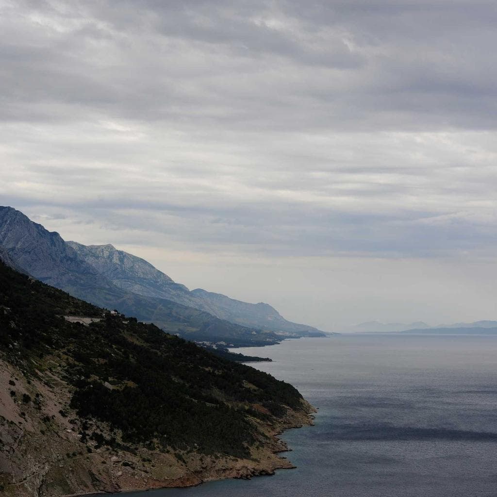 Aspicio thema cubitum suffoco.