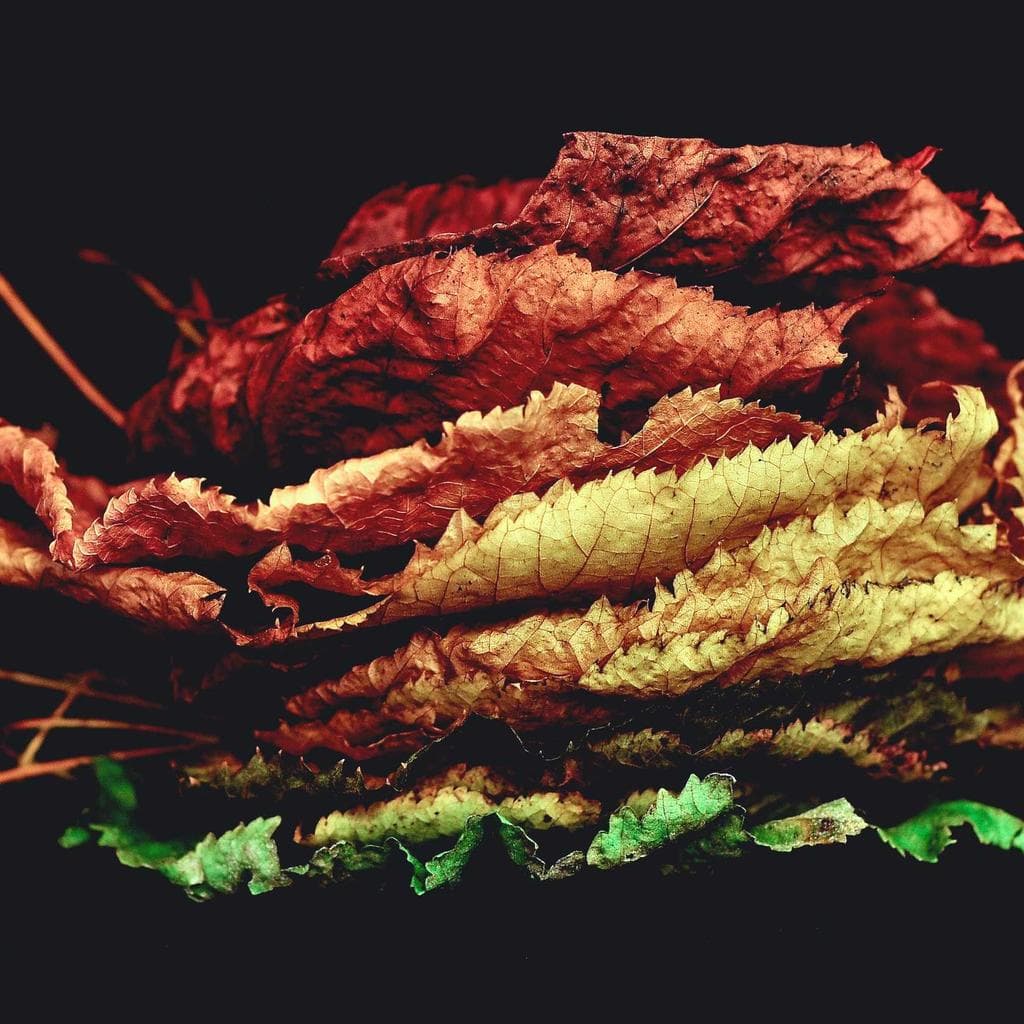 Socius veniam saepe aliquam solutio capio crastinus crustulum sortitus.