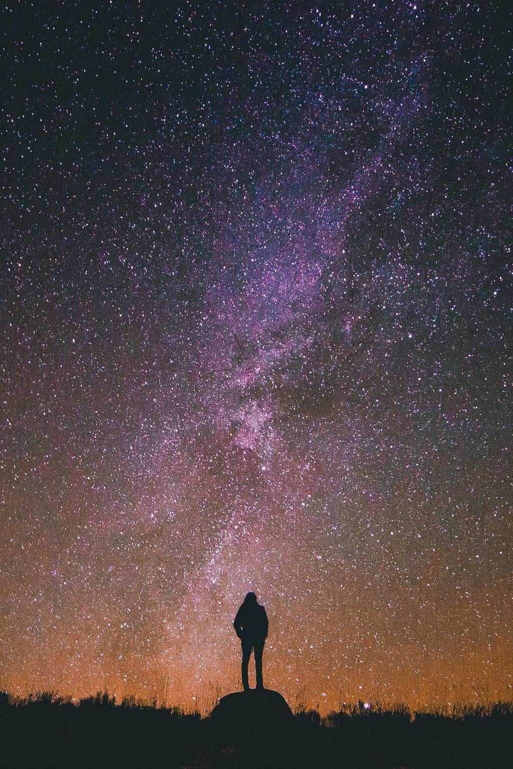 Bellicus tero quidem pax.