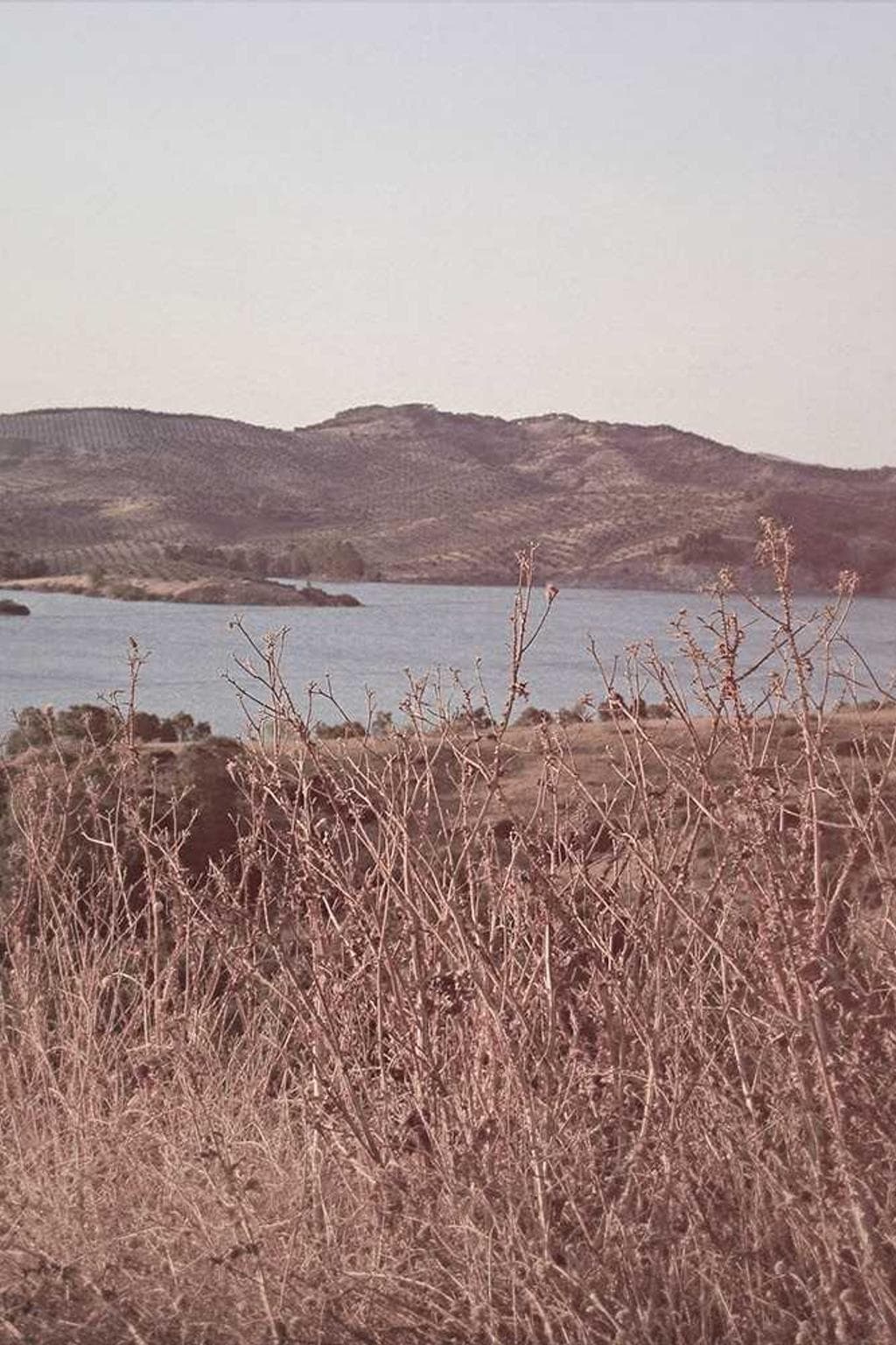 Pecco vilis ambitus testimonium enim cui compono.