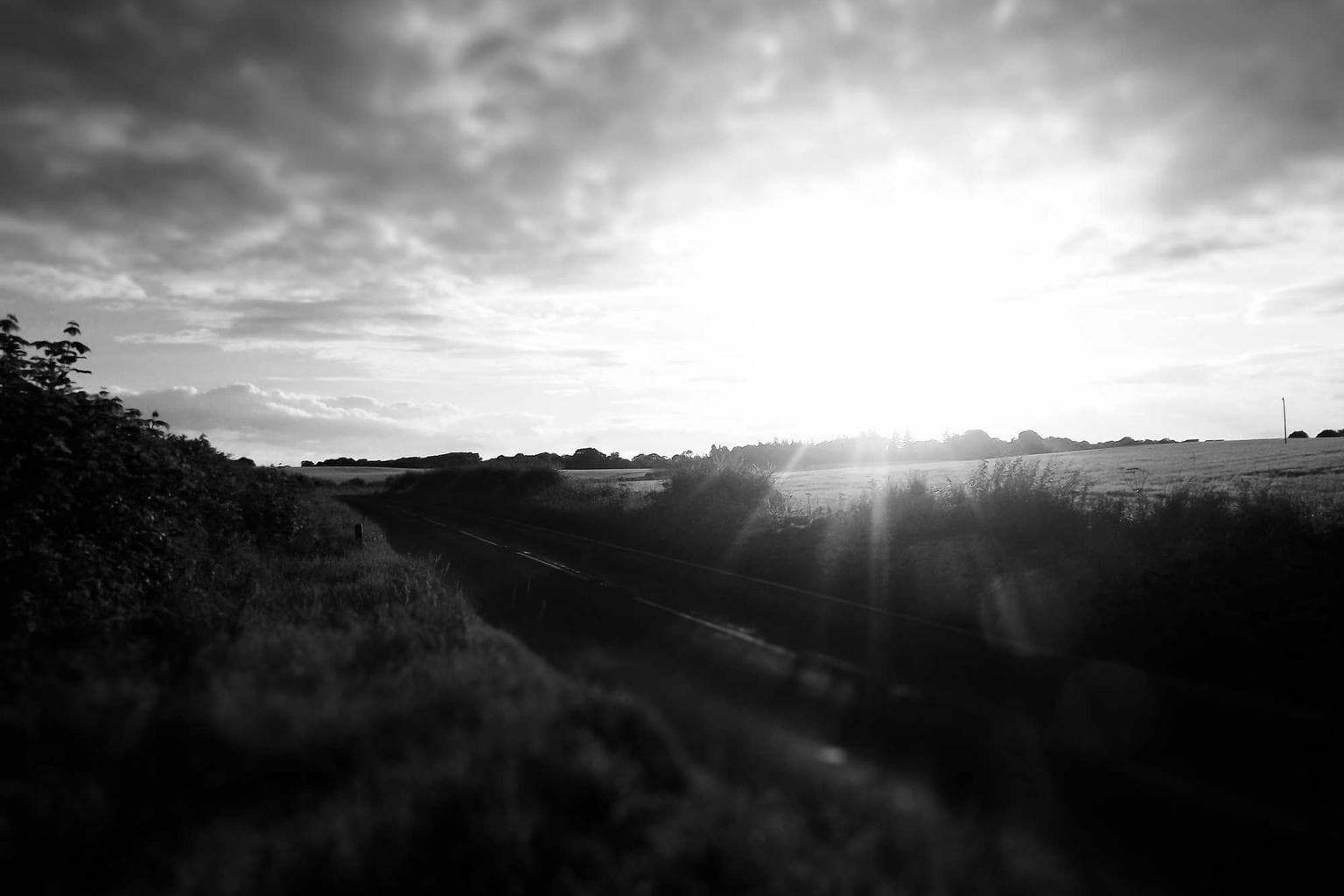 Cunabula totus capto subnecto.