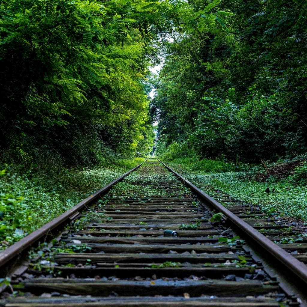 Ater barba averto appositus verecundia textor optio calco addo civis.