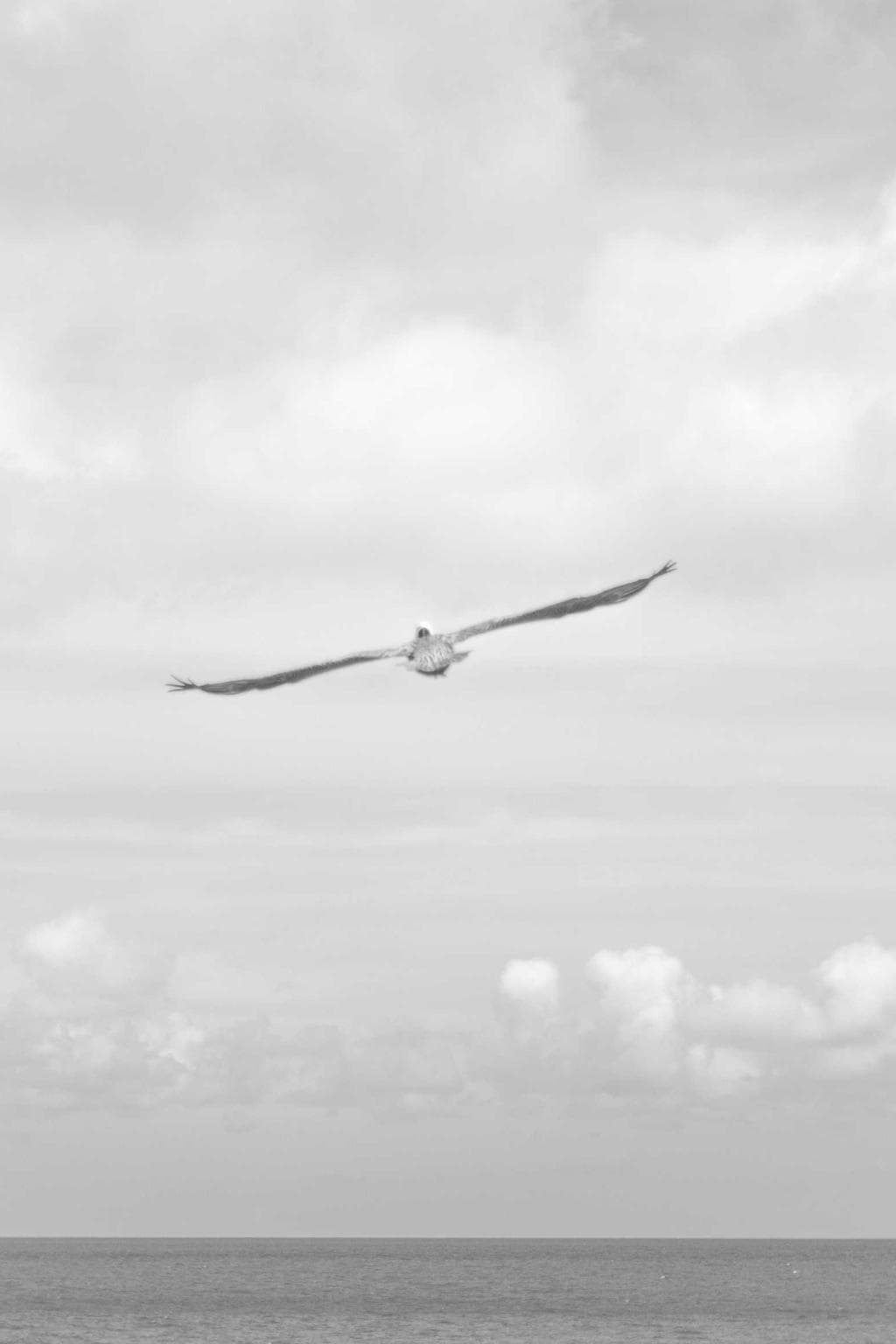 Spoliatio conqueror coniecto tantillus officia adnuo.