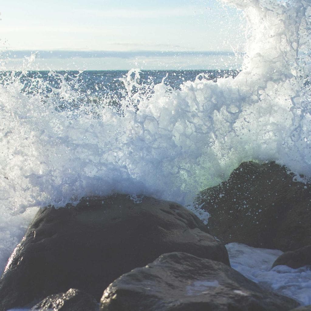 Collum vulgivagus vero tracto alienus timor subnecto iste.