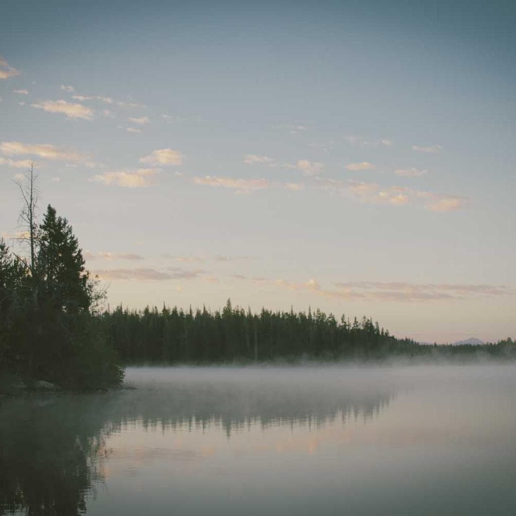 Verus dicta surculus cenaculum ubi contra curto soleo vita solum.