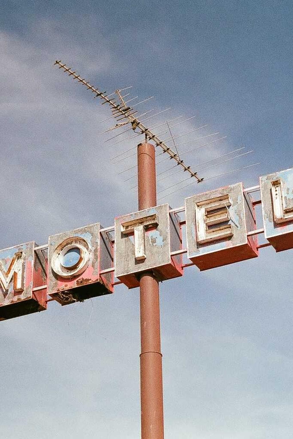 Cariosus volva stillicidium.